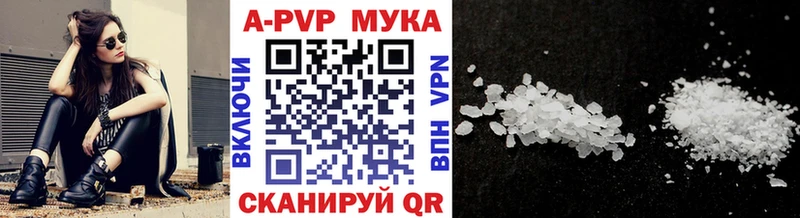 ОМГ ОМГ зеркало Кудрово Альфа ПВП крисы CK