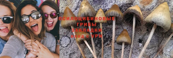 ПСИЛОЦИБИНОВЫЕ ГРИБЫ Алексин