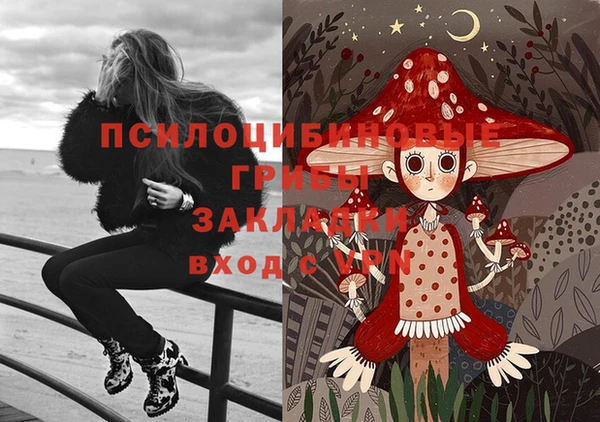 ПСИЛОЦИБИНОВЫЕ ГРИБЫ Алексин